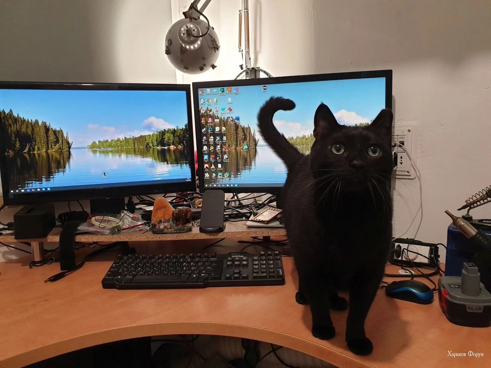 e4ca37b67e7ee0c452.webp