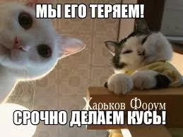 e4ce1d7038a2b466.webp