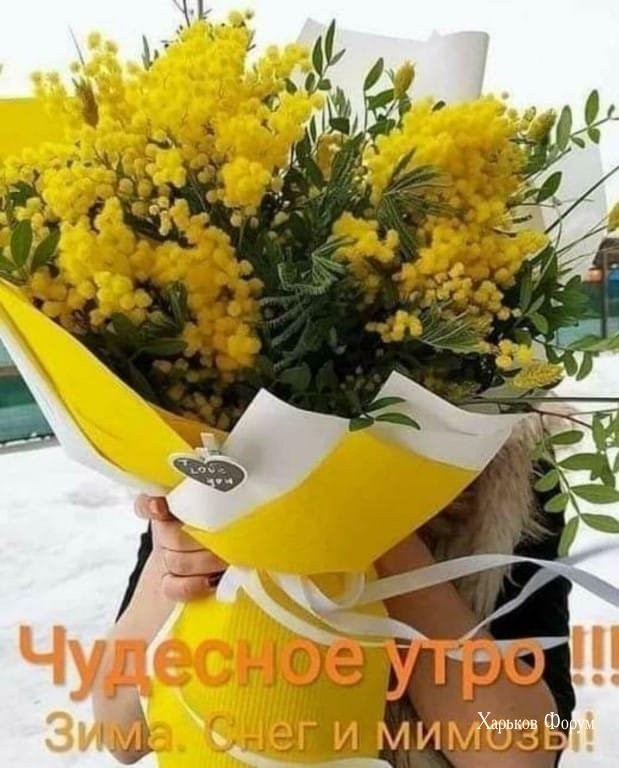 e4dadcde62168236de4d0f2b.jpg