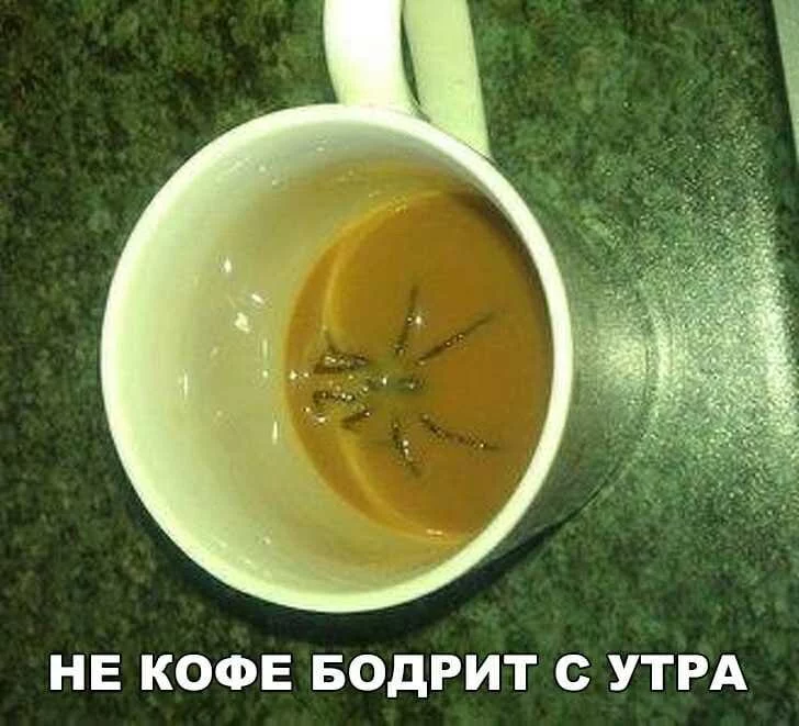 e4dcgd.webp