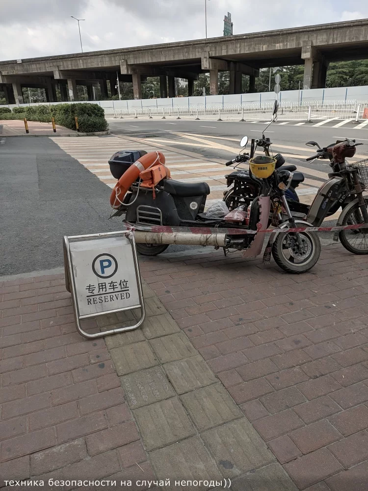 e4deda.webp