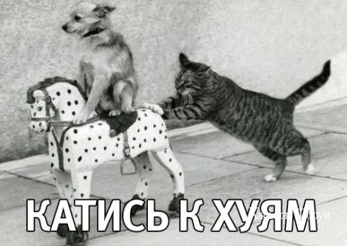 e4ea4eaf30e29ad3a97.jpg