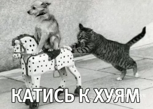 e4ea4eaf30e29ad3a97.webp