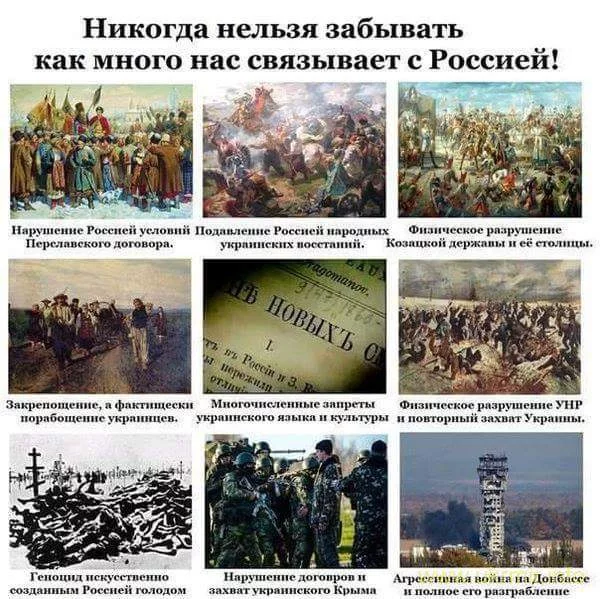 e4eceh.webp