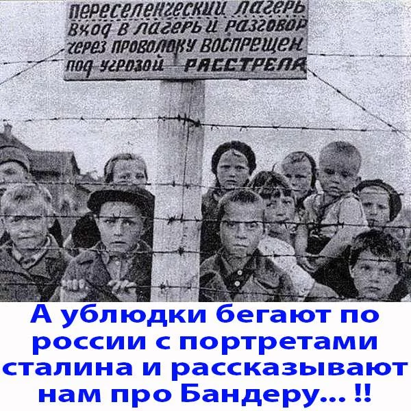 e4jbbc.webp