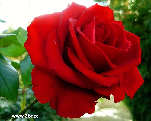e4jcfh.webp