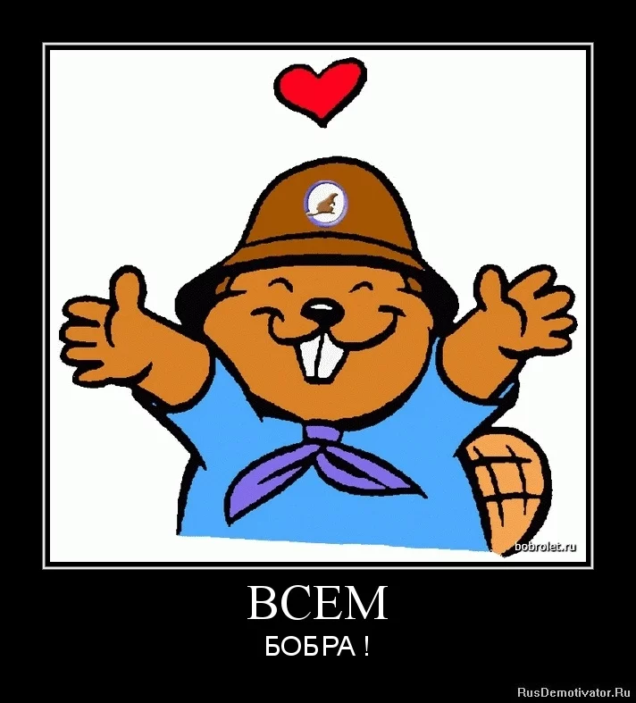 e4jgcb.webp