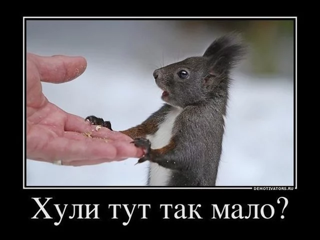 e4jhha.webp