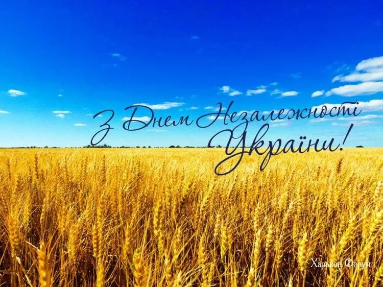 e51421a98aefb4fa461e.webp
