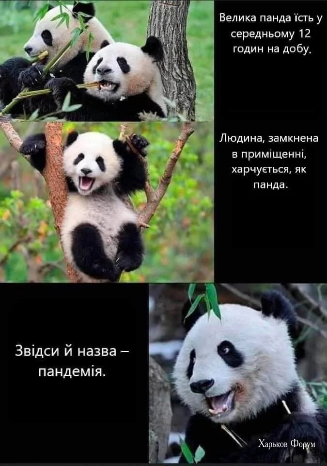 e5399f9d775c6defa3b8e5a2.webp