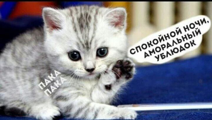e549d9c5f979654cb784b196ad458b49.webp