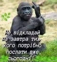 e565dae89b3b2b6f8200d7bf96b6d868.webp
