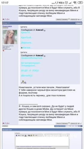 e56c4aec6ca58236.webp