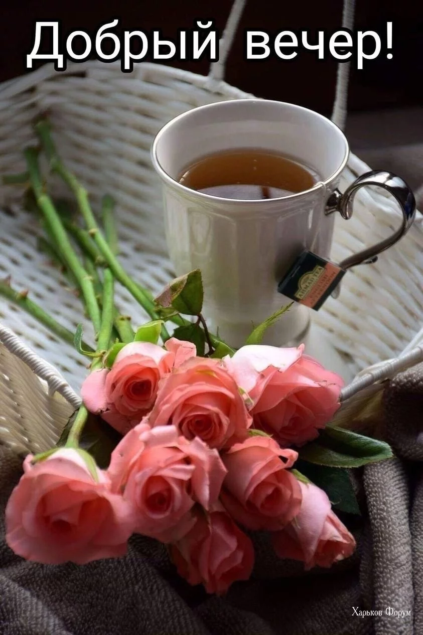 e56c6da7c55b576fd89.webp