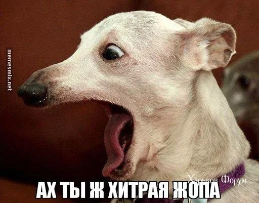 e56d174bc81edf400147a97c.webp
