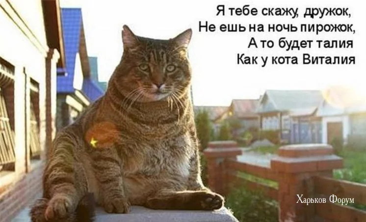 e599642f316722aaeb601.webp