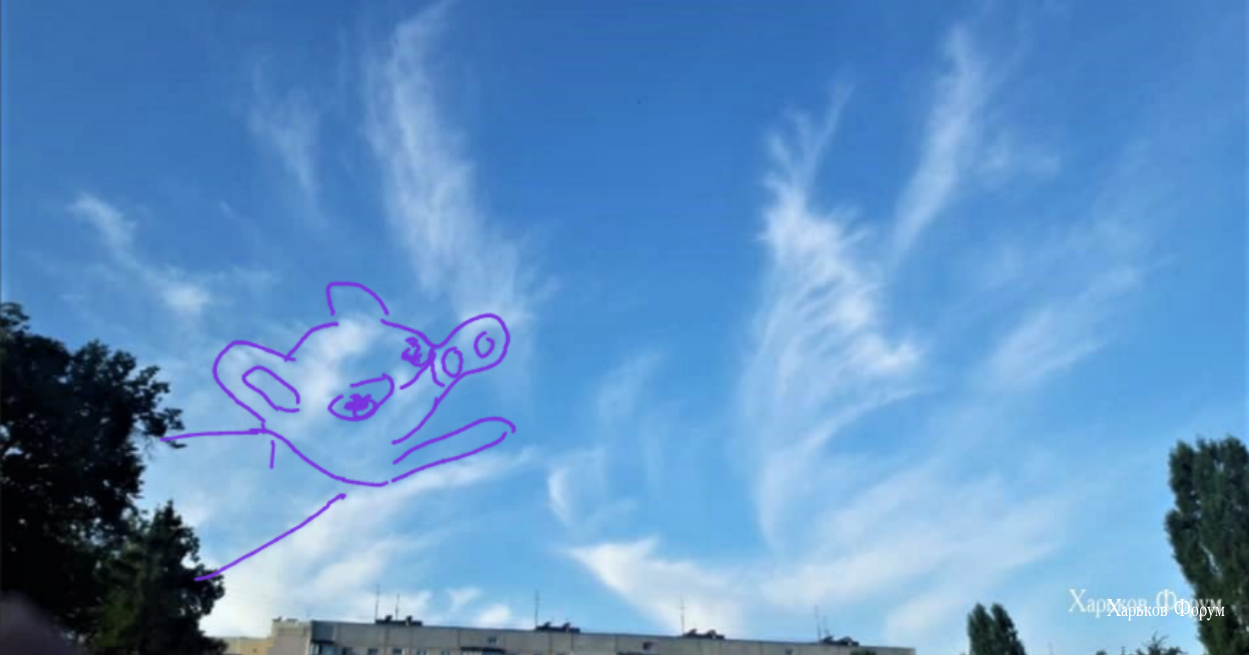 e59e6a66520fe70c267.png