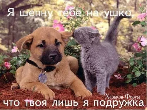 e5a0810a31bd1d7b095.webp