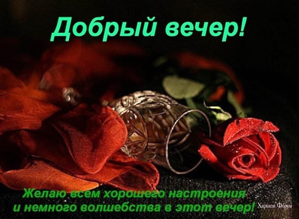 e5b7cc629cd2a23240ac7.jpg