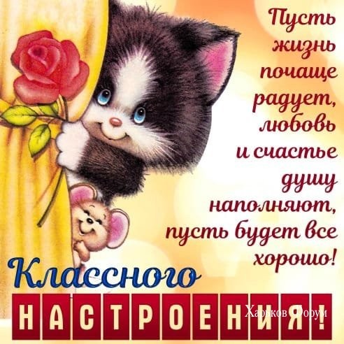 e5c1c603a8c0f41b48bd69.jpg
