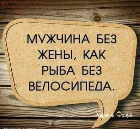 e5cddaa883df3f89fc1562.jpg