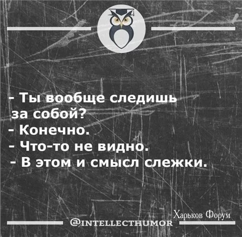 e5d09e61963fb52ad07.webp
