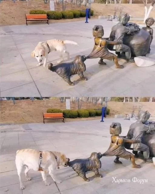 e5d67d78b5cdcb93aff3.webp
