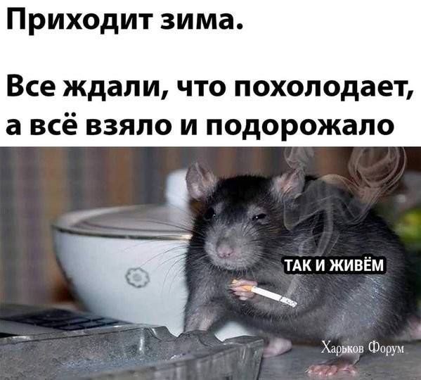 e5d6ba0d23b33e421ad2ce.jpg