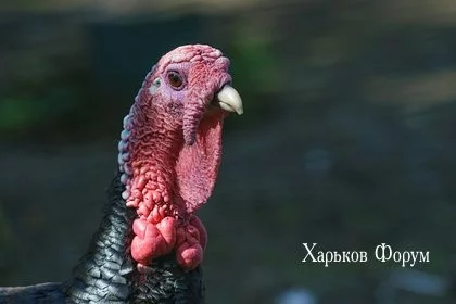 e5ee1176b28e6ea382f1f.webp
