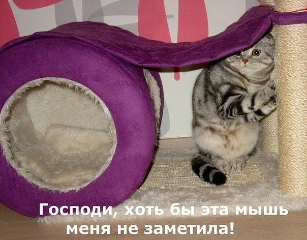 e5hddj.webp
