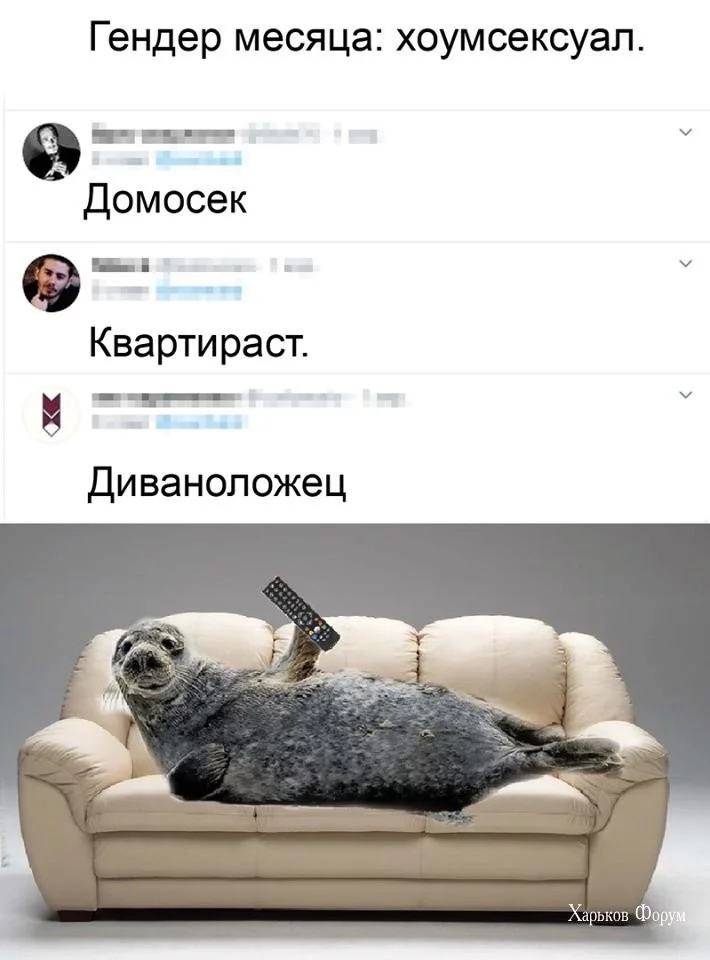 e602a3a3b9cf0385ca32bd.webp