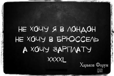 e613e1e7aed7fd53a5.webp