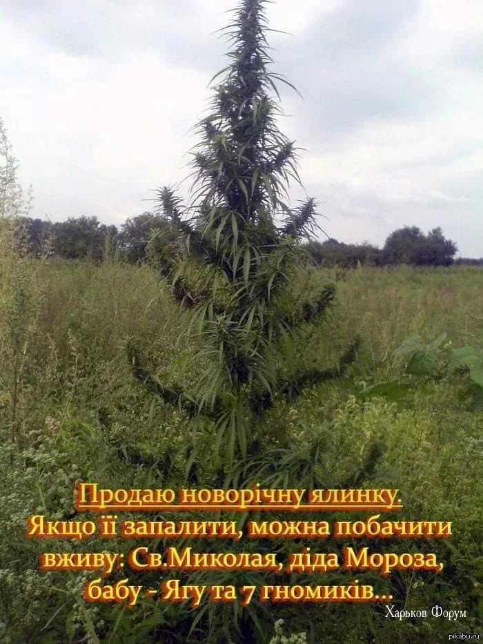 e622902266f6e7be353052f1.webp