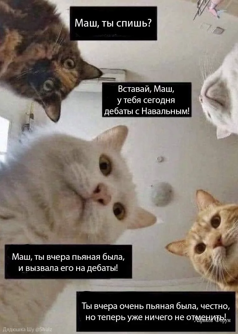 e640464c862ec9632f4.webp