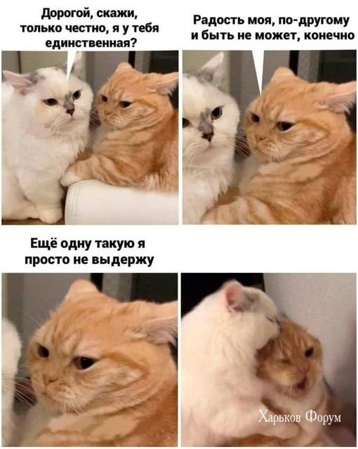 e656b8bdc481721a5d6c1c10.jpg