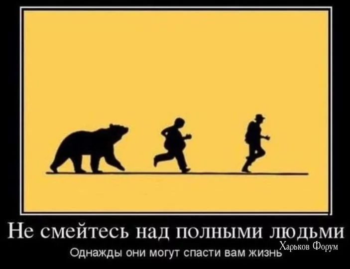 e671165a65c621b95.webp