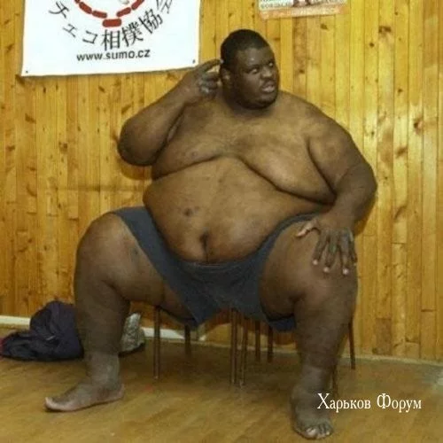 e677d7d5c9ecff77caf328.webp