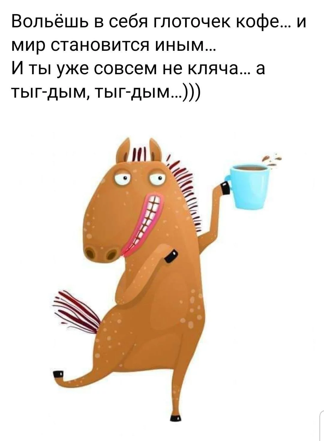 e69382a20fd97bb838.webp