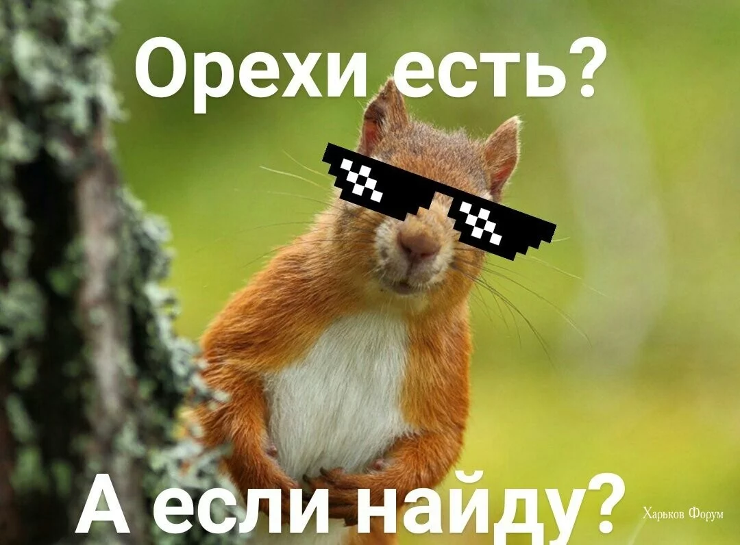 e698f3a1a381f1f66.webp