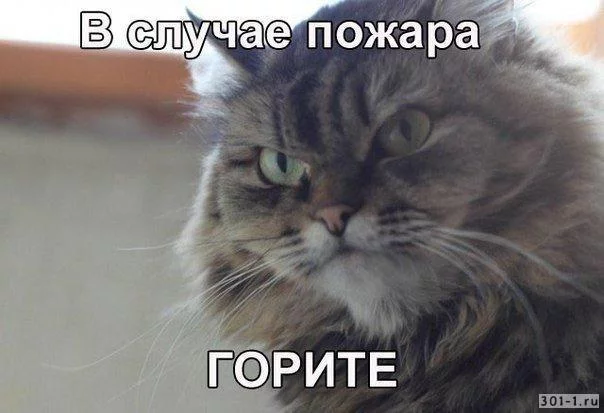e6aaad.webp
