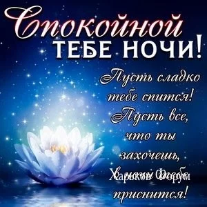 e6ab7d6d7f51a09d2b.webp