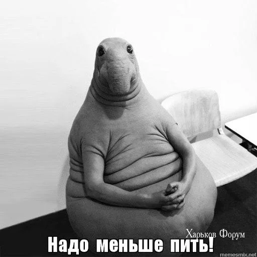 e6abe2f27341eb20844d0f2f.webp