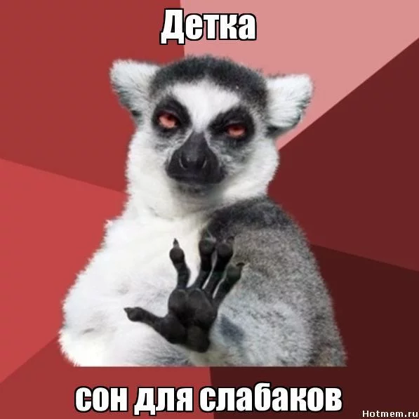 e6adbd.webp