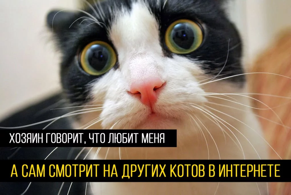 e6bad7c46c4432d61ae6cee1245609c8.webp