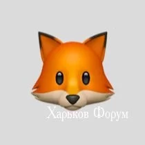 e6cfb02bb90bfde1ad58f95.webp