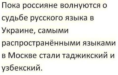 e6cjjh.webp