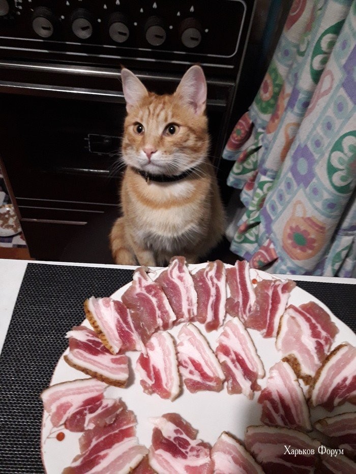 e6e79f8d4955b8e7b3.jpg