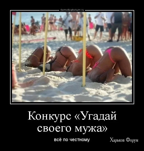 e6e9d6dbe8c819554afef.webp