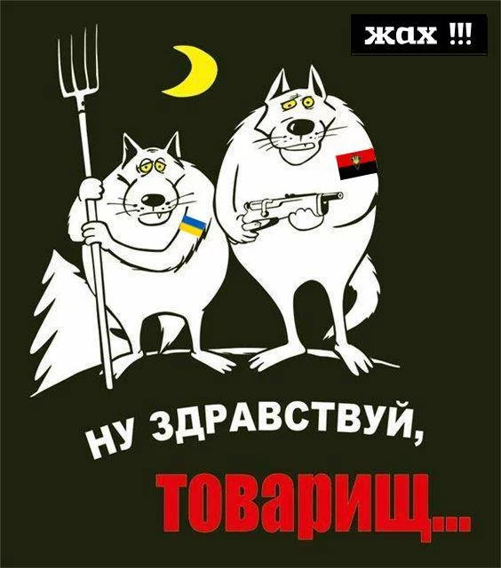 e6ecjf.webp