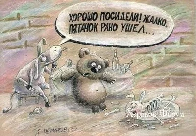 e6eed0fa5fd8d975.webp